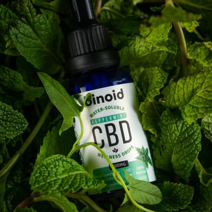 Water-Soluble CBD Drops - Peppermint