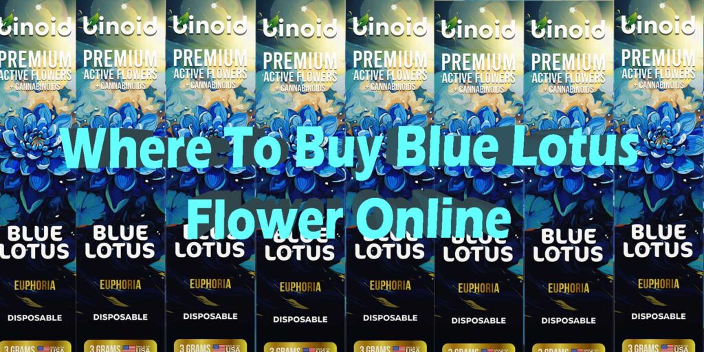 Buy Blue Lotus Online Blue Lotus Hemp Flower