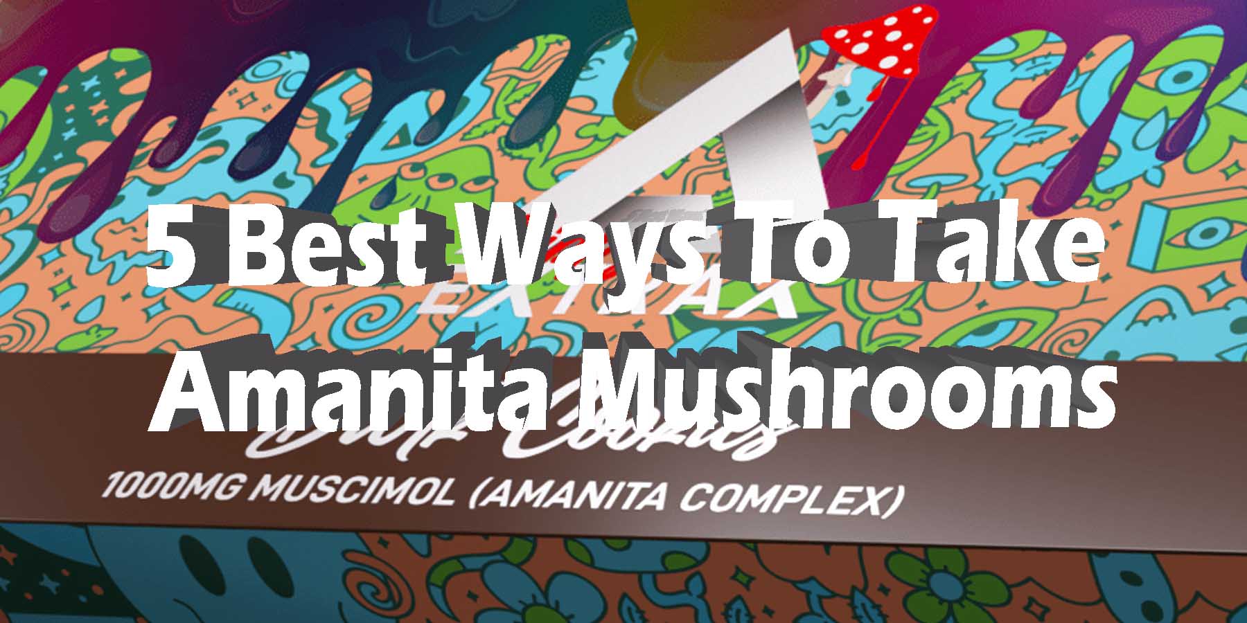 5 Best Ways To Take Amanita Mushrooms 5 Best Ways To Take Amanita Mushrooms Best Brand Strongest Get Near Me How To Get Online Quality Legal For Sale Review