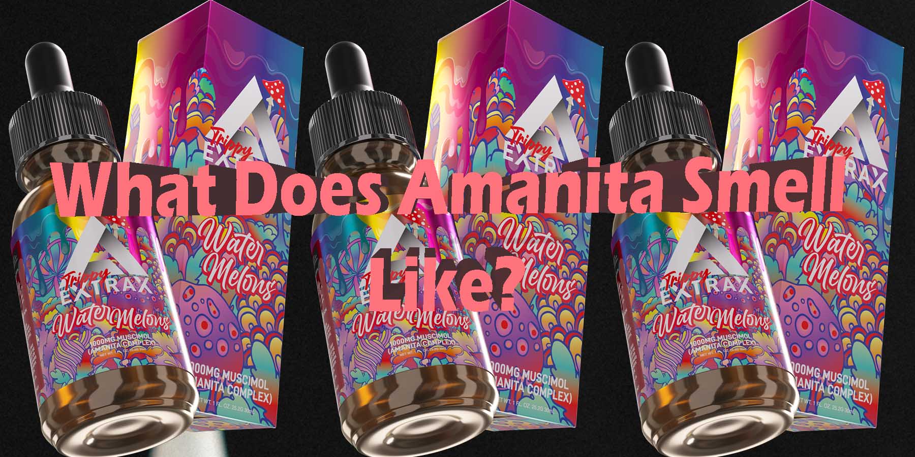 What Does Amanita Smell Like WhatYouMustKnow WhereToGet HowToGetNearMe BestSmokeBrand LowestPrice CouponDiscount