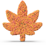 BFG Candy Dots Fruit Punch Buy Online Near Me Best Price