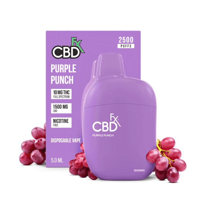 cbdfx HowToGetNearMe BestPlace LowestPrice Coupon Discount For Smoking Best High Smoke Shop Online Near Me StrongestBrand BestBrand Where To Buy THC THCA D9 Hemp Binoid purple punch.