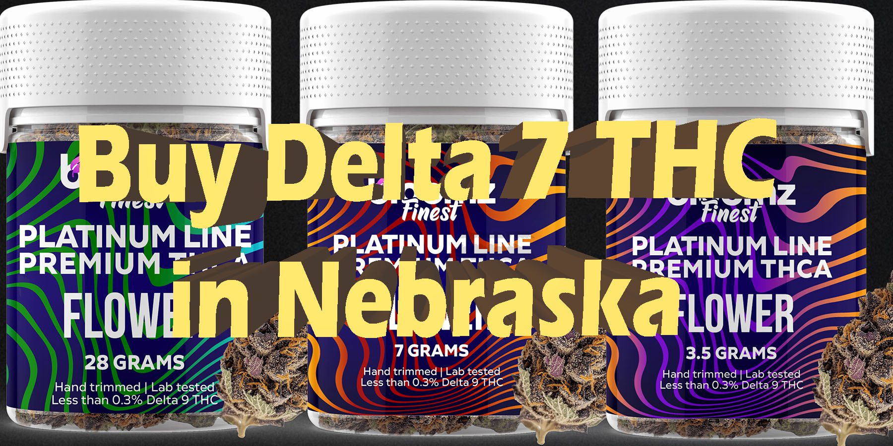 Buy Delta 7 THC in Nebraska HowToGetNearMe BestPlace LowestPrice Coupon Discount For Smoking Best Brand D9 D8 THCA Indoor Good Binoid.