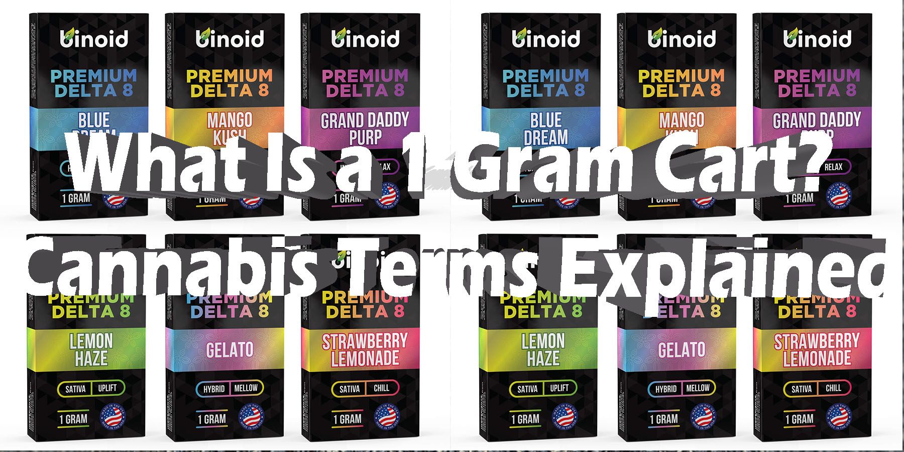 What Is a 1 Gram Cart Cannabis Terms Explained HowToGetNearMe BestPlace LowestPrice Coupon Discount For Smoking.