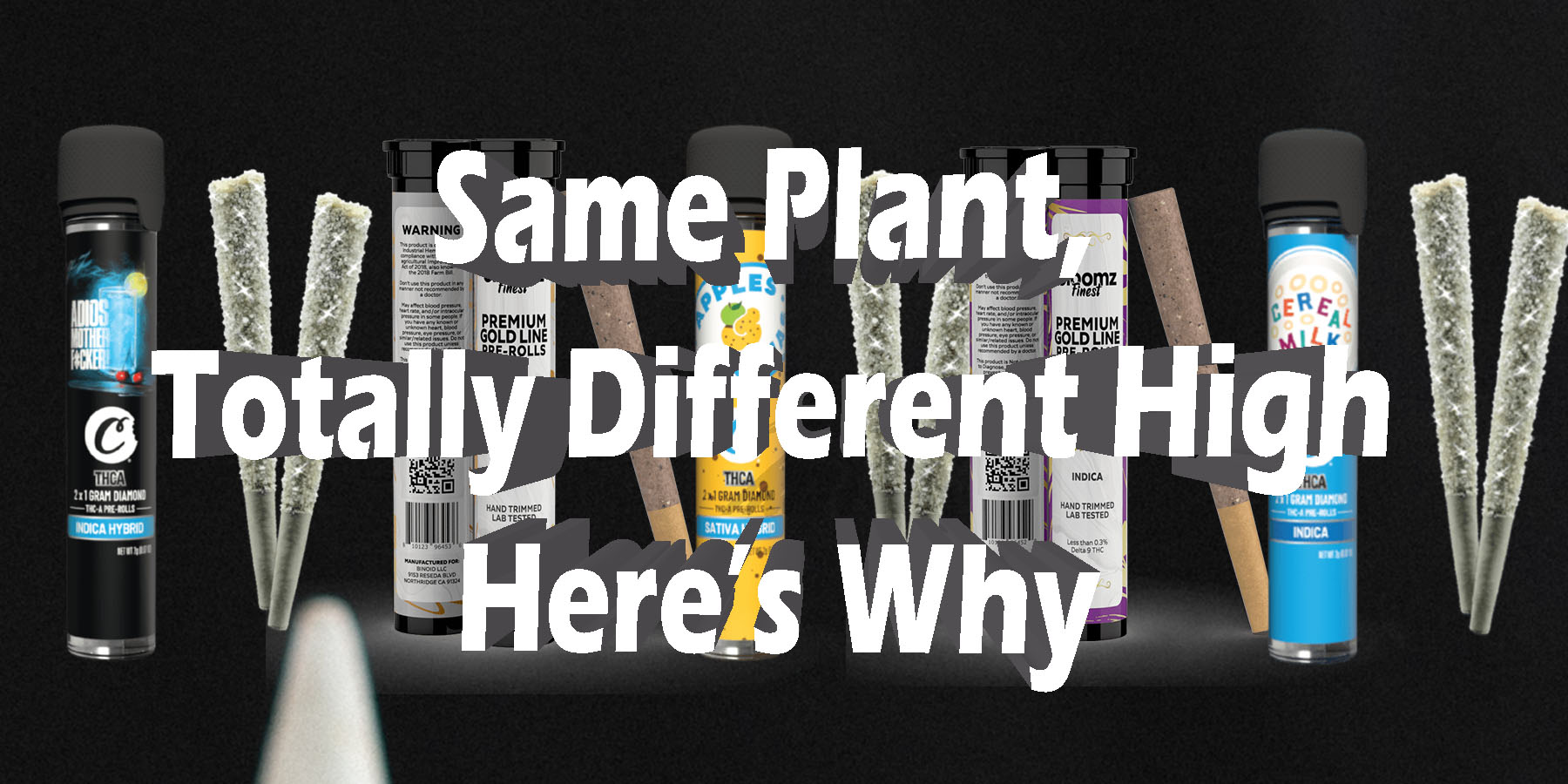 Same Plant Totally Different High Heres Why HowToGetNearMe BestPlace LowestPrice Coupon Discount For SmokingUnder Control Binoid